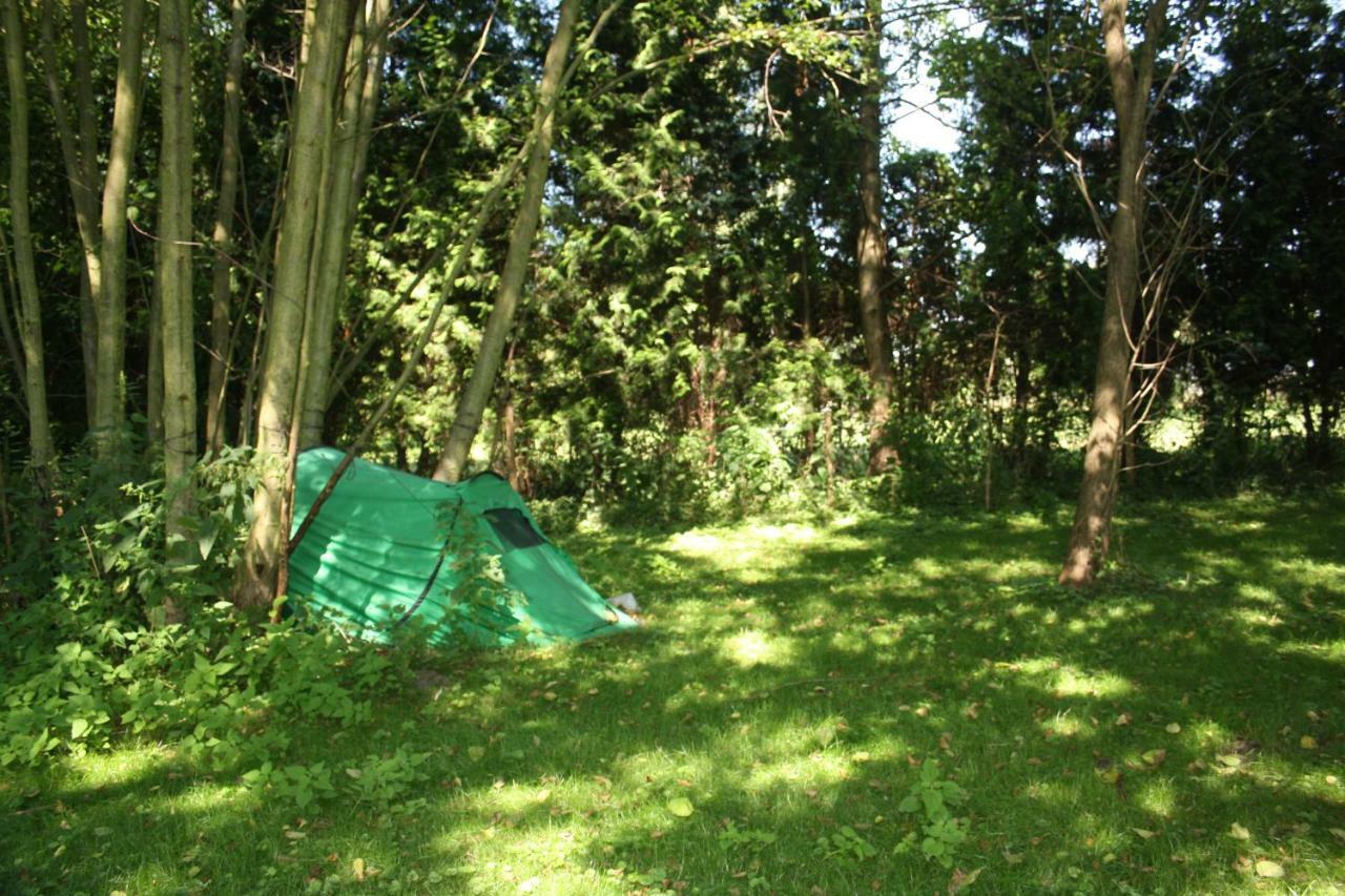 Gaestezimmer Sommer Locktow Exterior photo